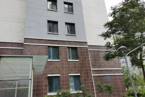 华泰国际豪园公寓住宅深度解析 优点、不足与市场评价