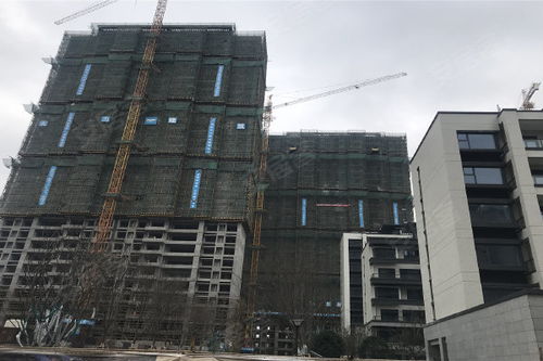 富力运河十号 优势与不足分析及周边经纪评价